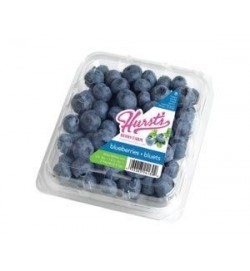 Blueberry 170g
