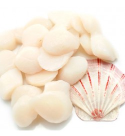 SCALLOP MEAT LARGE