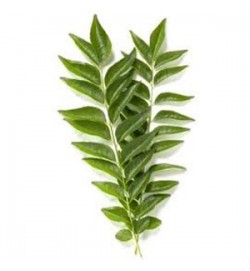 CURRY LEAVES